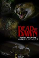 Watch Dead by Dawn Putlocker