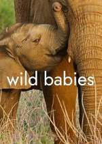 Watch Wild Babies Putlocker