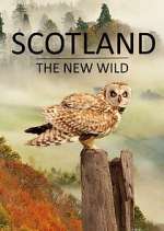 Watch Scotland - The New Wild Putlocker