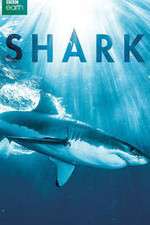 Watch Shark Putlocker