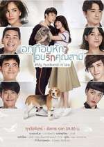 Watch My Husband in Law Putlocker