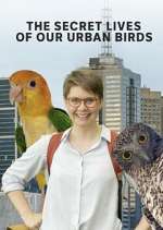 Watch The Secret Lives of Our Urban Birds Putlocker
