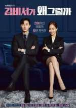 Watch What's Wrong with Secretary Kim? Putlocker