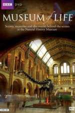 Watch BBC Museum of Life Putlocker