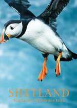 Watch Shetland: Scotland's Wondrous Isles Putlocker