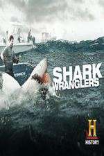 Watch Shark Wranglers Putlocker