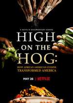 Watch High on the Hog: How African American Cuisine Transformed America Putlocker