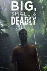 Watch Big, Small & Deadly Putlocker