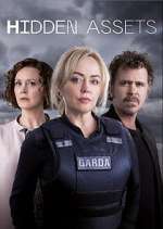Watch Hidden Assets Putlocker