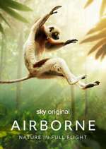 Watch Airborne Putlocker
