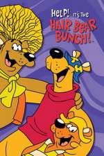 Watch Help!... It's the Hair Bear Bunch Putlocker