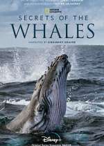 Watch Secrets of the Whales Putlocker