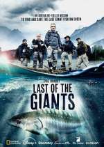 Watch Last of the Giants: Wild Fish Putlocker