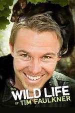 Watch The Wild Life of Tim Faulkner Putlocker