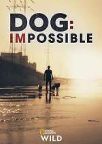 Watch Dog: Impossible Putlocker