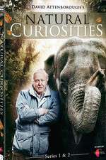 Watch Natural Curiosities Putlocker