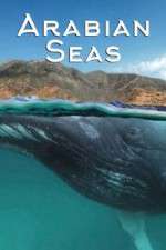Watch Arabian Seas Putlocker
