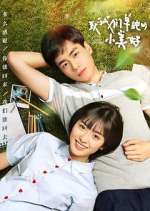 Watch A Love So Beautiful Putlocker