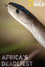 Watch Africas Deadliest Putlocker