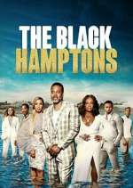 Watch Carl Weber's The Black Hamptons Putlocker