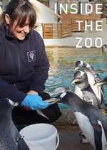 Watch Inside the Zoo Putlocker