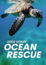 Watch Gold Coast Ocean Rescue Putlocker