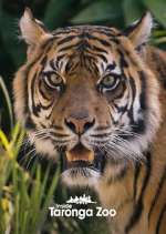 Watch Inside Taronga Zoo Putlocker