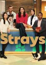 Watch Strays Putlocker
