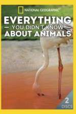 Watch Everything You Didnt Know About Animals Putlocker