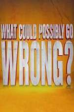 Watch What Could Possibly Go Wrong Putlocker