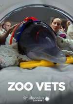 Watch Zoo Vets Putlocker