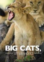 Watch Big Cats, Small World Putlocker